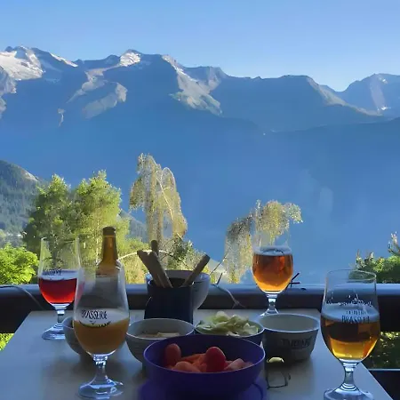 Vue Exceptionnelle * Alpe d'Huez